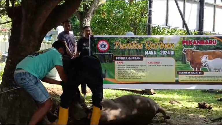 Kurban IDI Wilayah Riau 1445 H: Berbagi Kebahagiaan di Kampus FK Unri
